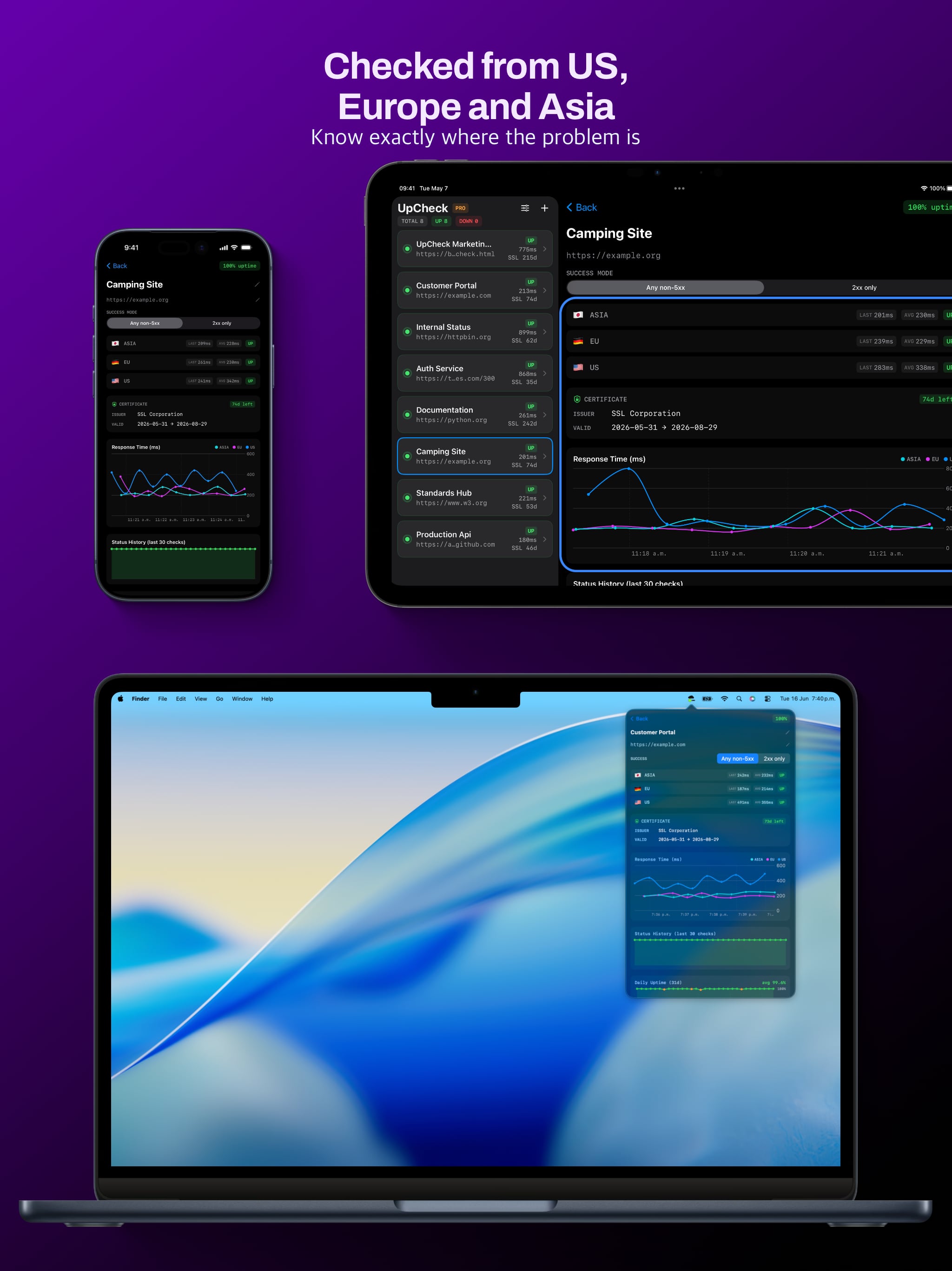 Pantalla de detalle de UpCheck en iPhone